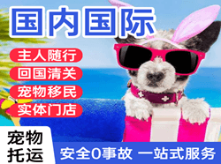 琼海博鳌航空快运国际宠物托运 【国